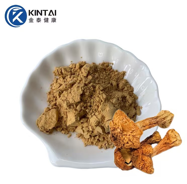 Agaricus Blazei Murill-extrakt