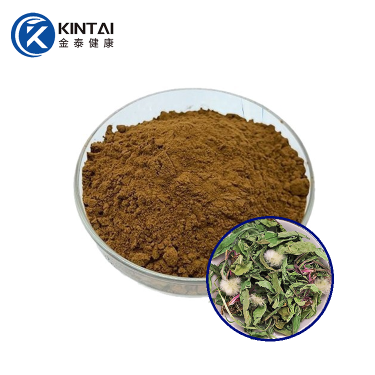 Maskrosrotextraktpulver