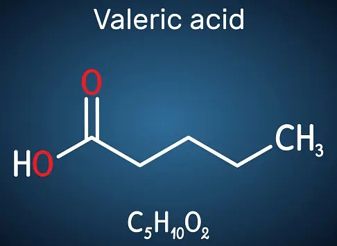 Physical Properties of Valerian Root Extract Valerenic Acid Physical Properties of Valerian Root Extract Valerenic Acid