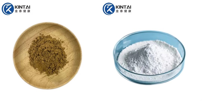 Bitter Almond Extract Amygdalin Powder Manufacturer Bitter Almond Extract Amygdalin Powder Manufacturer