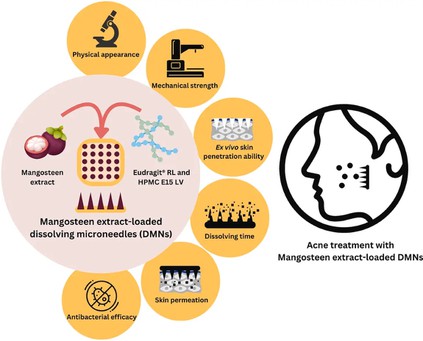 Mangosteen Peel Extract Benefits for Skinc Mangosteen Peel Extract Benefits for Skinc