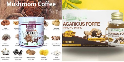 Agaricus Blazei Murill Extract Applications Agaricus Blazei Murill Extract Applications