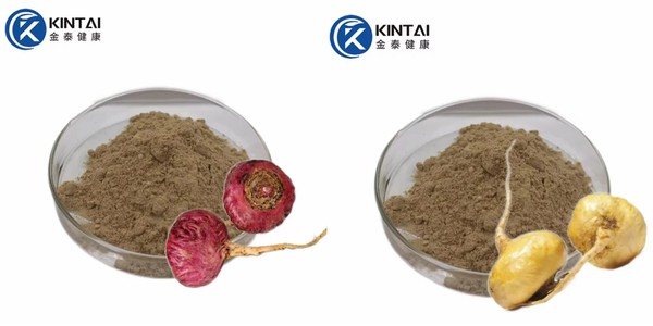 upload58e7d6ba2d0eef6121735d44df733b3e upload58e7d6ba2d0eef6121735d44df733b3e