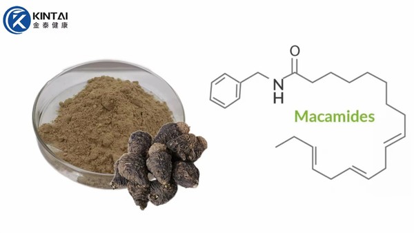 upload199142111913723458f6e9a8a7c5e658 upload199142111913723458f6e9a8a7c5e658