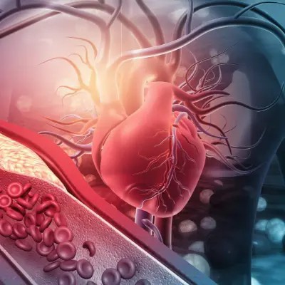 Quercetin In Pharmaceuticals Quercetin In Pharmaceuticals