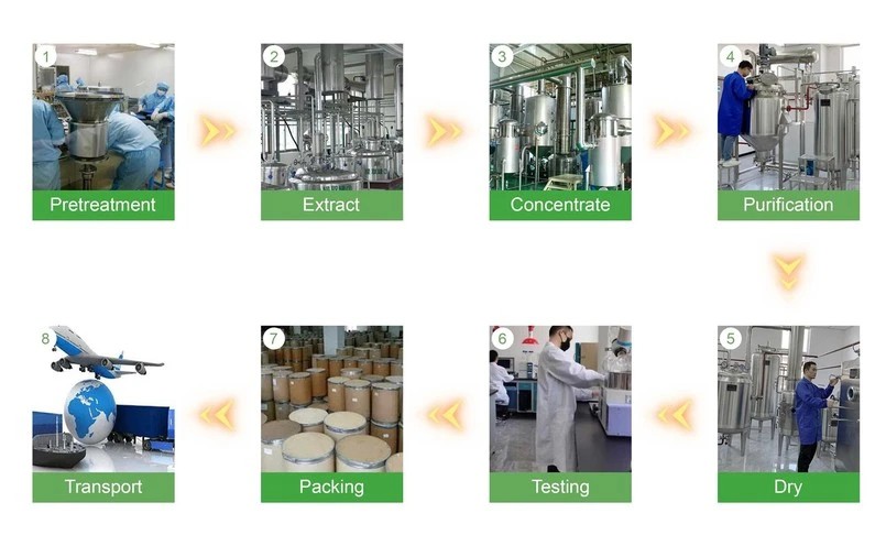 Kintai Production process Kintai Production process
