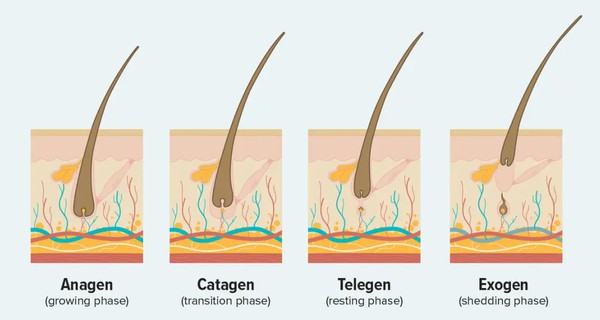 20260330100613073 20260330100613073