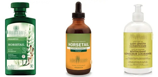 Horsetail Extract Silica In Personal Care Horsetail Extract Silica In Personal Care