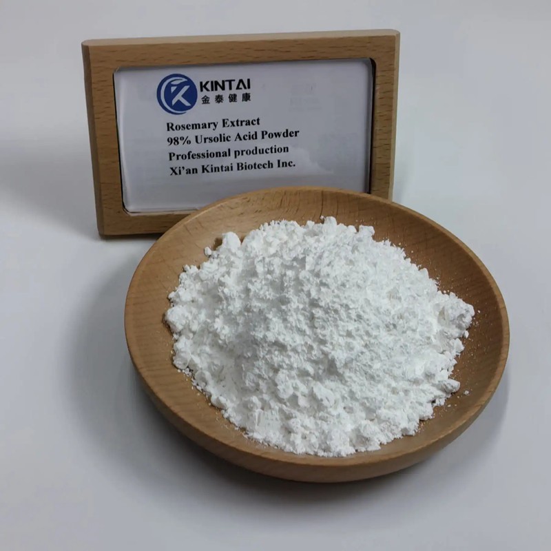 Rosemary Extract Powder suppliers Rosemary Extract Powder suppliers