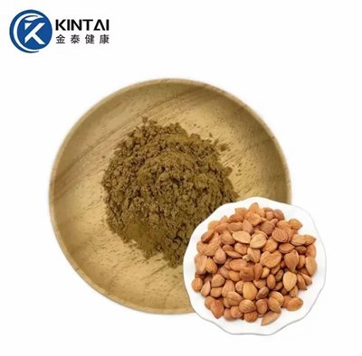 Amygdalinpulver av bittermandelextrakt